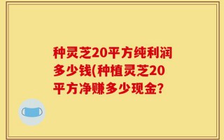 种灵芝20平方纯利润多少钱(种植灵芝20平方净赚多少现金？