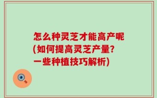 怎么种灵芝才能高产呢(如何提高灵芝产量？一些种植技巧解析)