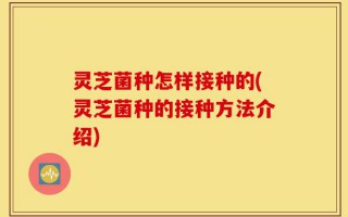 灵芝菌种怎样接种的(灵芝菌种的接种方法介绍)