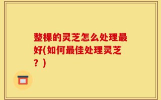 整棵的灵芝怎么处理最好(如何最佳处理灵芝？)