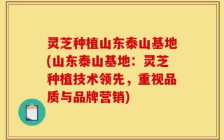 灵芝种植山东泰山基地(山东泰山基地：灵芝种植技术领先，重视品质与品牌营销)