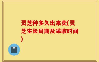 灵芝种多久出来卖(灵芝生长周期及采收时间)