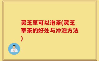 灵芝草可以泡茶(灵芝草茶的好处与冲泡方法)