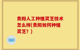 贵阳人工种植灵芝技术怎么样(贵阳如何种植灵芝？)