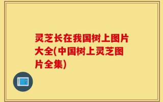 灵芝长在我国树上图片大全(中国树上灵芝图片全集)