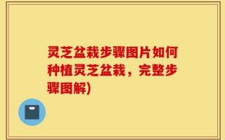灵芝盆栽步骤图片如何种植灵芝盆栽，完整步骤图解)