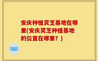安庆种植灵芝基地在哪里(安庆灵芝种植基地的位置在哪里？)