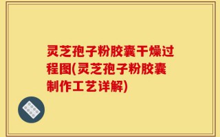 灵芝孢子粉胶囊干燥过程图(灵芝孢子粉胶囊制作工艺详解)