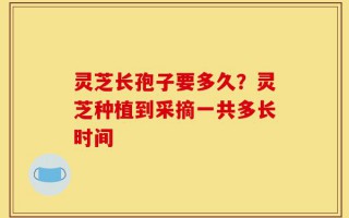灵芝长孢子要多久？灵芝种植到采摘一共多长时间