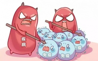 灵芝孢子粉的功效 是什么？提高免疫力效果好吗？