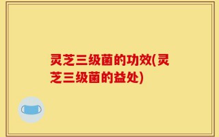 灵芝三级菌的功效(灵芝三级菌的益处)
