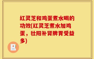 红灵芝和鸡蛋煮水喝的功效(红灵芝煮水加鸡蛋，壮阳补肾脾胃受益多)