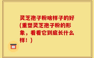 灵芝孢子粉啥样子的好(重塑灵芝孢子粉的形象，看看它到底长什么样！)