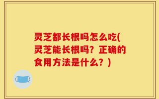 灵芝都长根吗怎么吃(灵芝能长根吗？正确的食用方法是什么？)
