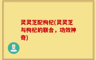 灵灵芝配枸杞(灵灵芝与枸杞的联合，功效神奇)
