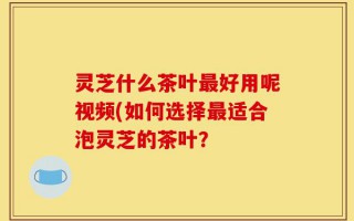 灵芝什么茶叶最好用呢视频(如何选择最适合泡灵芝的茶叶？