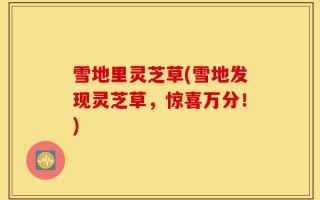 雪地里灵芝草(雪地发现灵芝草，惊喜万分！)