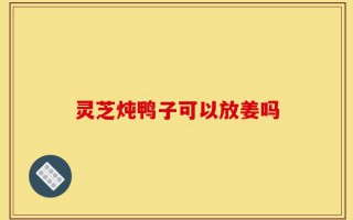 灵芝炖鸭子可以放姜吗