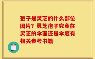 孢子是灵芝的什么部位图片？灵芝孢子究竟在灵芝的伞面还是伞底有相关参考书籍