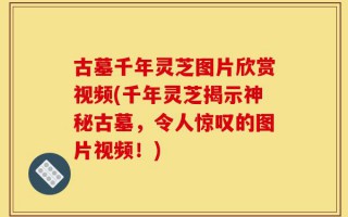 古墓千年灵芝图片欣赏视频(千年灵芝揭示神秘古墓，令人惊叹的图片视频！)