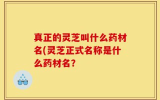 真正的灵芝叫什么药材名(灵芝正式名称是什么药材名？