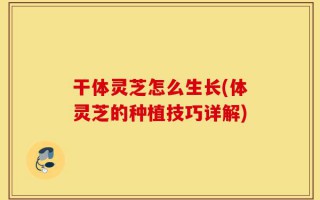 干体灵芝怎么生长(体灵芝的种植技巧详解)