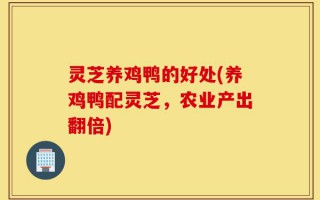 灵芝养鸡鸭的好处(养鸡鸭配灵芝，农业产出翻倍)