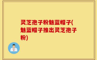 灵芝孢子粉魅蓝帽子(魅蓝帽子推出灵芝孢子粉)