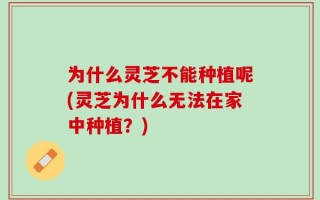 为什么灵芝不能种植呢(灵芝为什么无法在家中种植？)