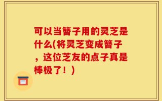 可以当簪子用的灵芝是什么(将灵芝变成簪子，这位芝友的点子真是棒极了！)