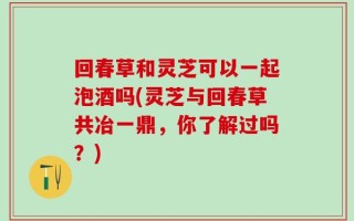 回春草和灵芝可以一起泡酒吗(灵芝与回春草共冶一鼎，你了解过吗？)