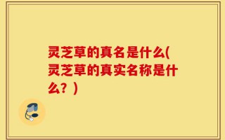 灵芝草的真名是什么(灵芝草的真实名称是什么？)