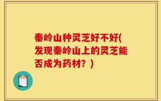 秦岭山种灵芝好不好(发现秦岭山上的灵芝能否成为药材？)
