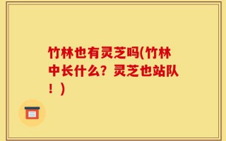 竹林也有灵芝吗(竹林中长什么？灵芝也站队！)