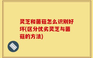 灵芝和菌菇怎么识别好坏(区分优劣灵芝与菌菇的方法)