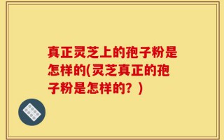 真正灵芝上的孢子粉是怎样的(灵芝真正的孢子粉是怎样的？)