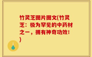 竹灵芝图片图文(竹灵芝：极为罕见的中药材之一，拥有神奇功效！)