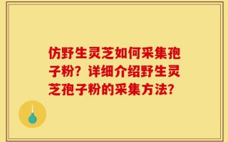 仿野生灵芝如何采集孢子粉？详细介绍野生灵芝孢子粉的采集方法？