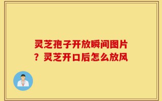 灵芝孢子开放瞬间图片？灵芝开口后怎么放风
