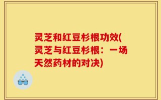 灵芝和红豆杉根功效(灵芝与红豆杉根：一场天然药材的对决)