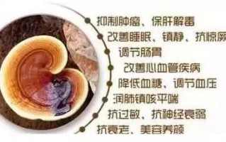 盘点破壁灵芝孢子粉的功效与作用