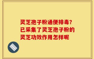 灵芝孢子粉通便排毒？已采集了灵芝孢子粉的灵芝功效作用怎样呢