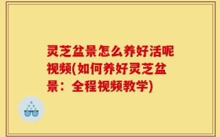 灵芝盆景怎么养好活呢视频(如何养好灵芝盆景：全程视频教学)