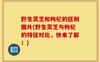 野生灵芝和枸杞的区别图片(野生灵芝与枸杞的特征对比，快来了解！)