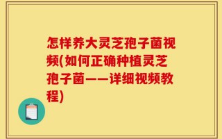 怎样养大灵芝孢子菌视频(如何正确种植灵芝孢子菌——详细视频教程)