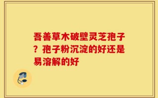 吾善草木破壁灵芝孢子？孢子粉沉淀的好还是易溶解的好
