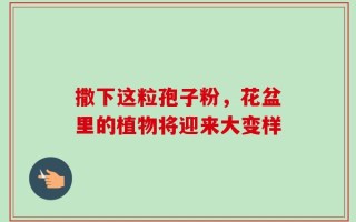 撒下这粒孢子粉，花盆里的植物将迎来大变样