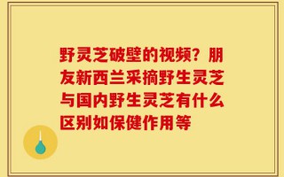 野灵芝破壁的视频？朋友新西兰采摘野生灵芝与国内野生灵芝有什么区别如保健作用等