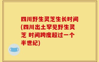 四川野生灵芝生长时间(四川出土罕见野生灵芝 时间跨度超过一个半世纪)