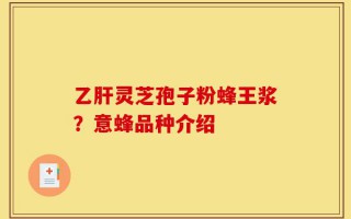 乙肝灵芝孢子粉蜂王浆？意蜂品种介绍